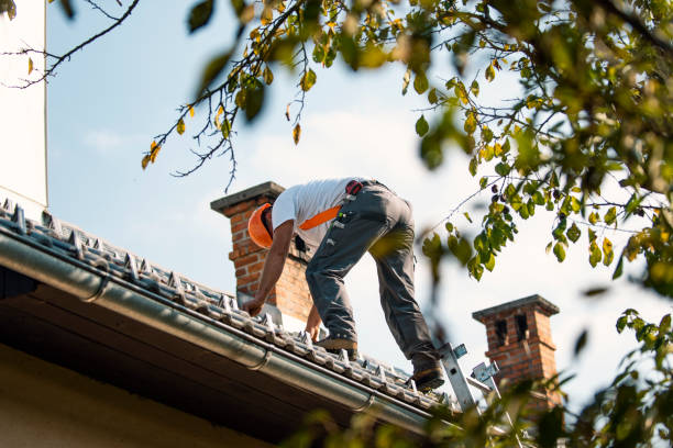 Trusted Montrose, MN Roofing Contractor Experts
