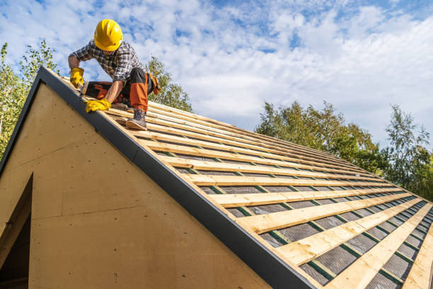 Best Storm Damage Roof Repair  in Montrose, MN